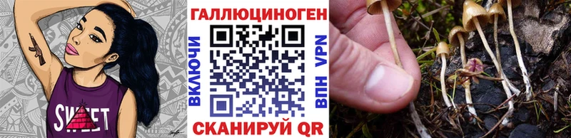 мега рабочий сайт  Донецк  Галлюциногенные грибы Magic Shrooms 