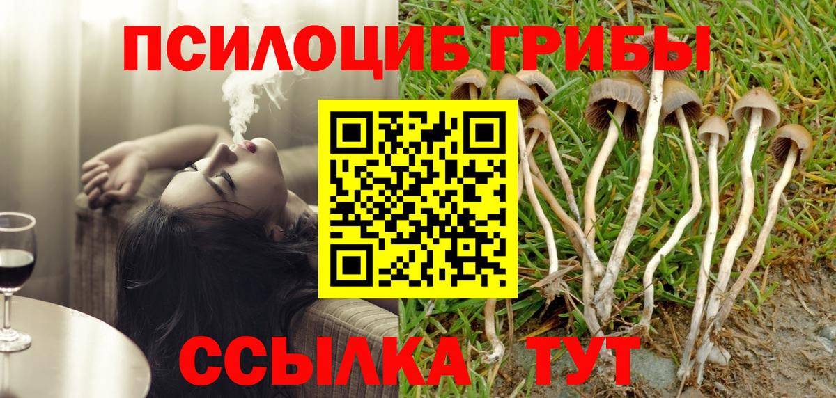 Псилоцибиновые грибы Cubensis Донецк