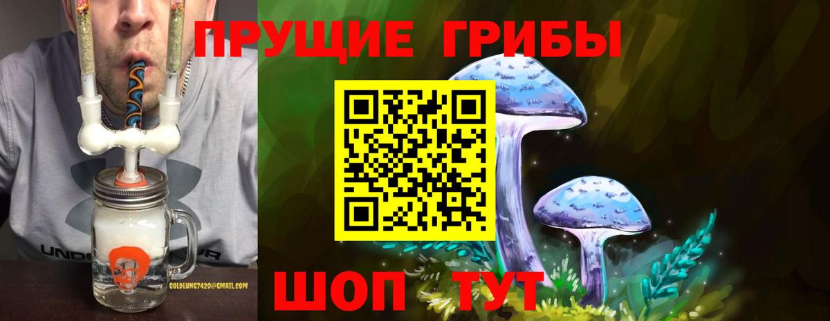 Галлюциногенные грибы GOLDEN TEACHER Донецк