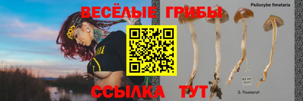 Псилоцибиновые грибы прущие грибы  Псилоцибиновые грибы прущие грибы  Донецк 